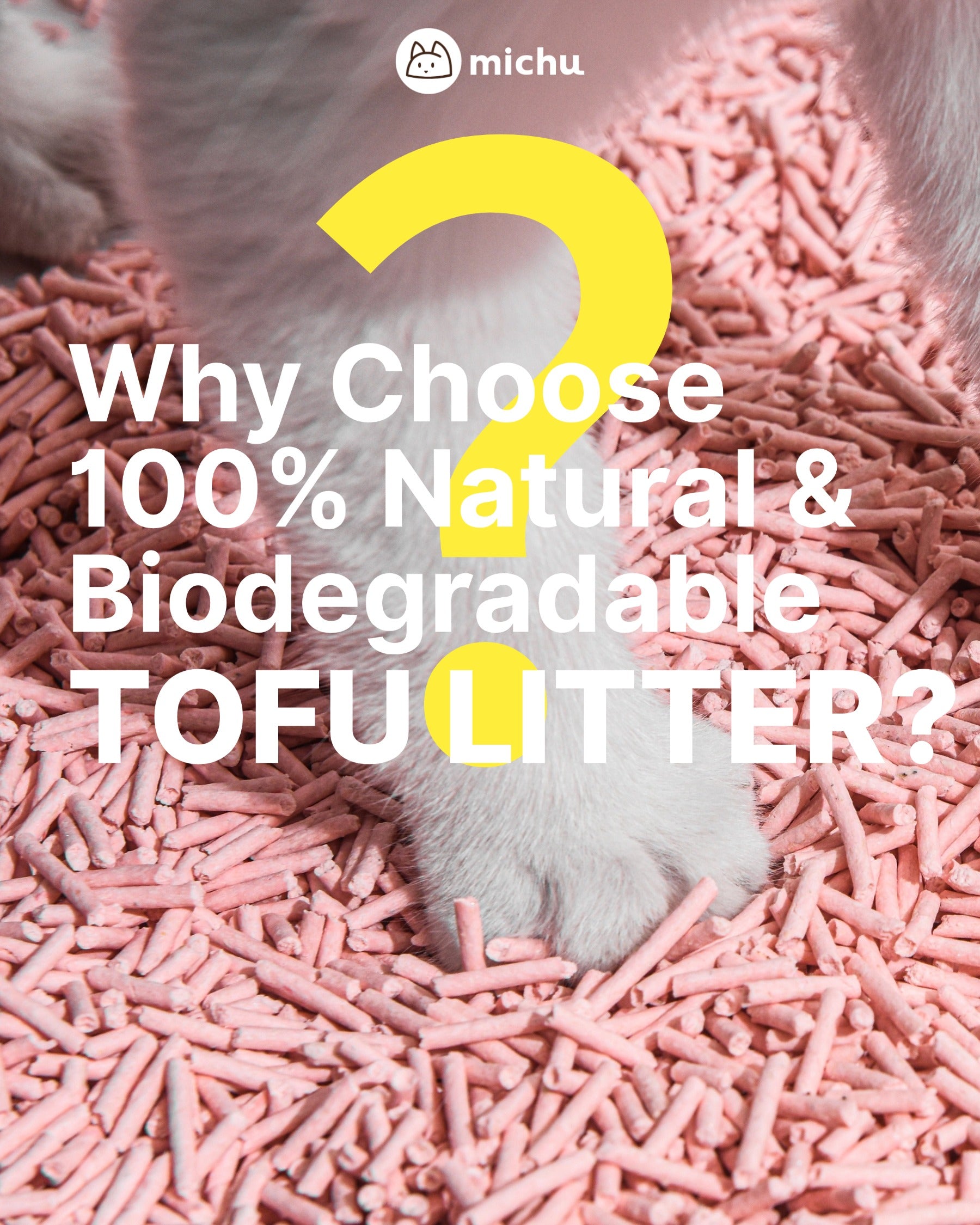 MICHU Tofu Cat Litter Gen3 Review: Australia’s Most-Reviewed Clumping Litter?